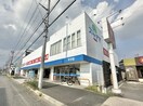 ドラッグスギヤマ平子店(ドラッグストア)まで554m シャトレ大堀