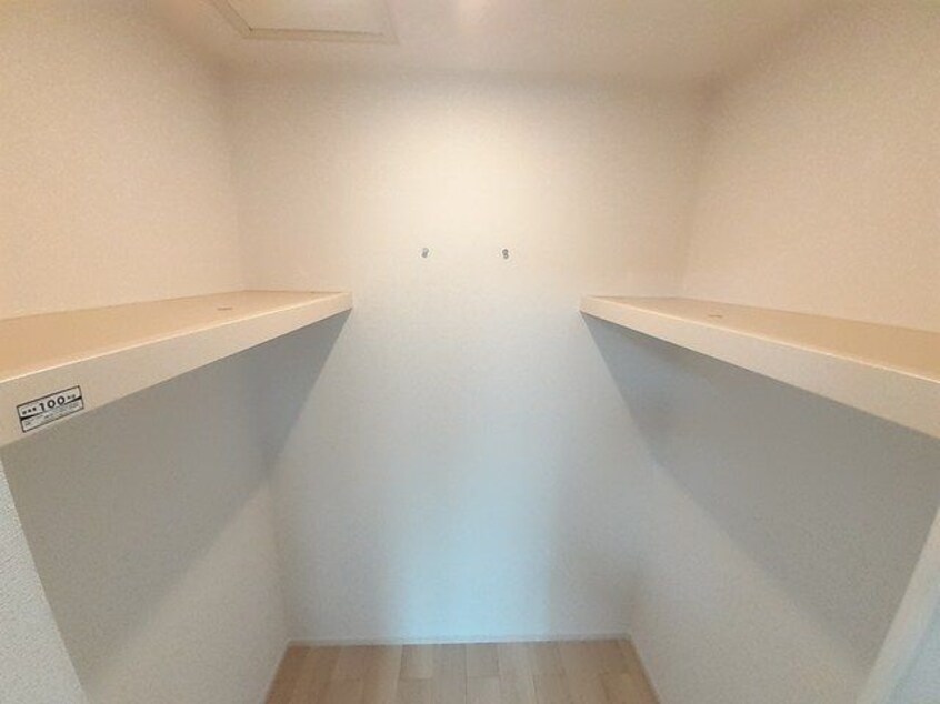  Ｐｅａｃｈ　Ⅲ