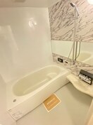  スプリングウッド