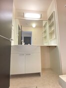  スプリングウッド