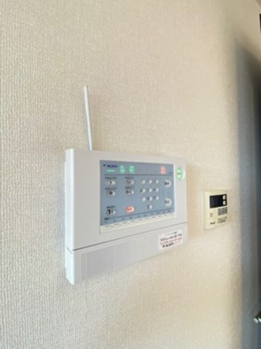  スプリングウッド