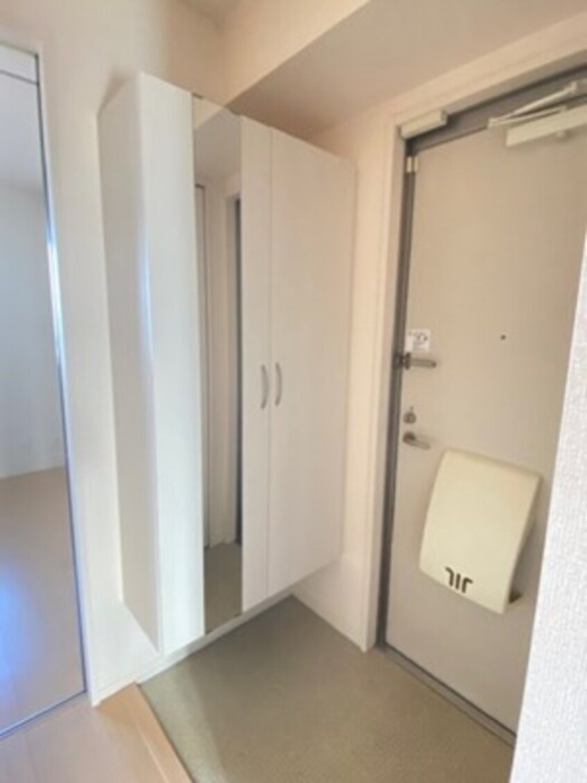  スプリングウッド