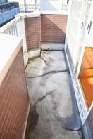  エクセルカオル