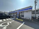 ローソン大田小学校前店(コンビニ)まで838m ハーベスト　ヒルズ　Ⅱ