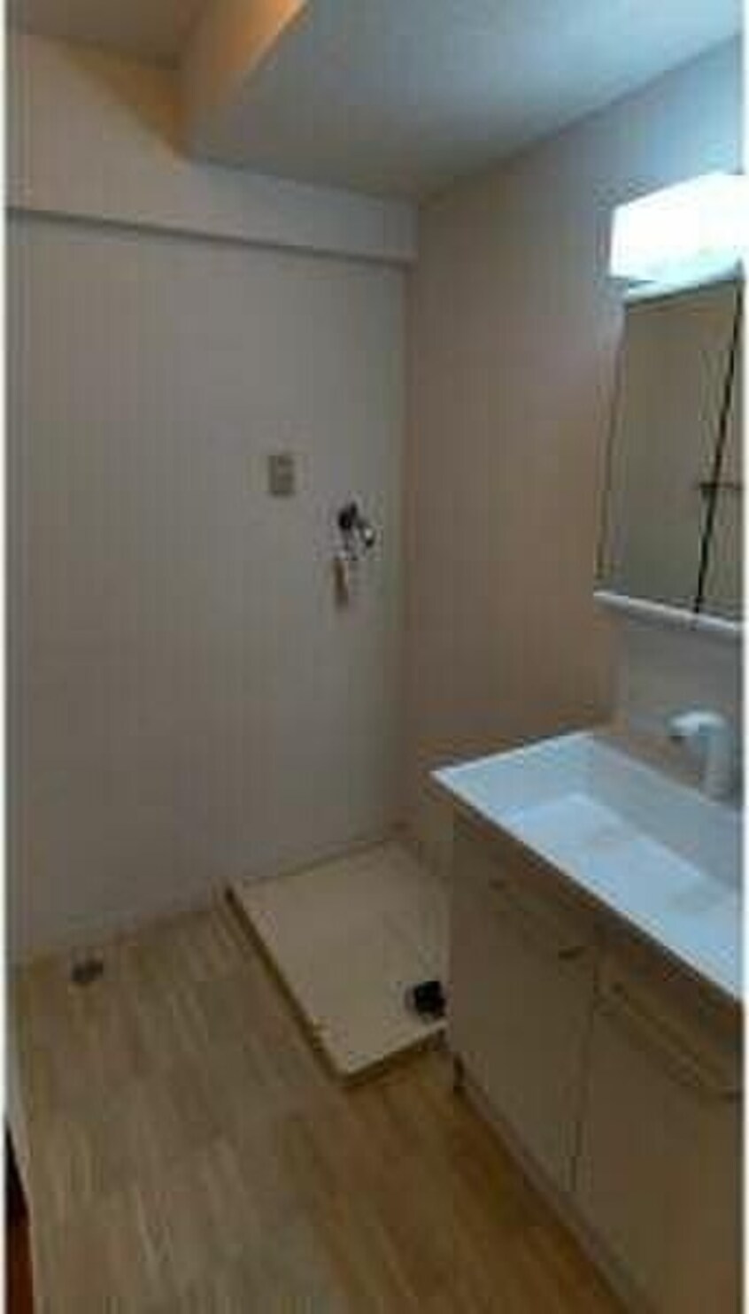 広い洗面スペース ラルス瑞穂