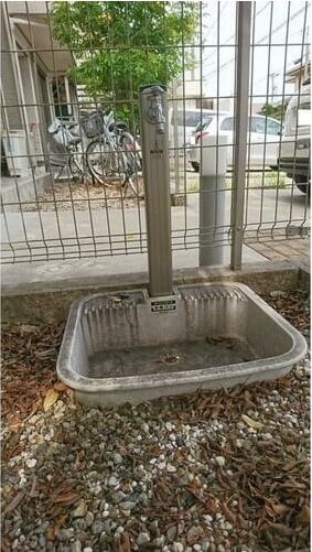  アムールリーフ　A