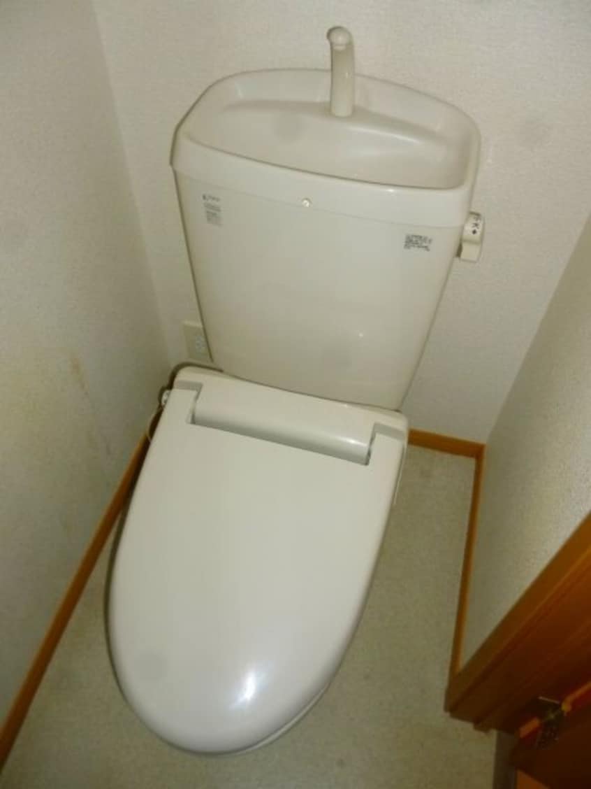 落ち着いた色調のトイレです ルトゥール豊