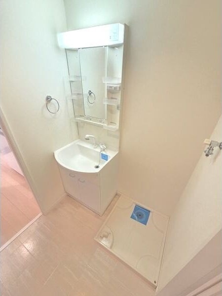 洗面所です ディアコート鶴里