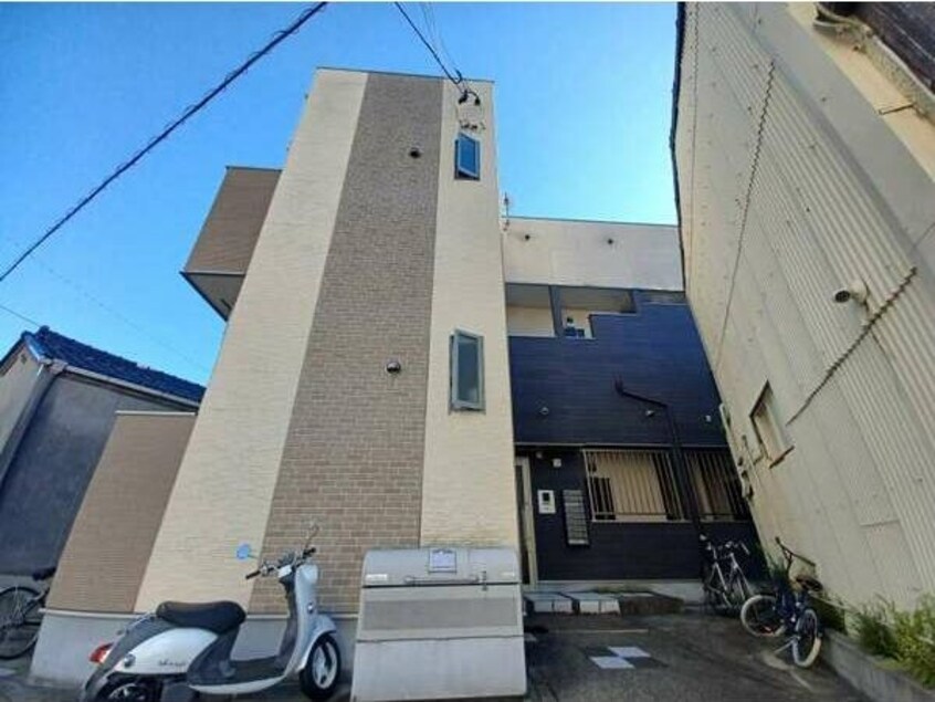  エクセラン白鳥