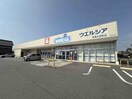 ウエルシア東海大田町店(ドラッグストア)まで1256m Warren takayokosukaⅡ