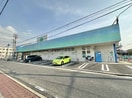 ドラッグスギヤマ笠寺店(ドラッグストア)まで469m ル　サブール