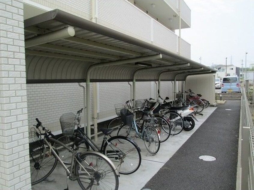  ウインドローズ