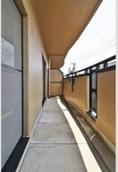  サンシャイン　阪野