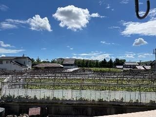  セレーノ・エッセン