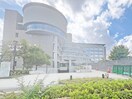 大府市役所(役所)まで492m RadIAnce大府