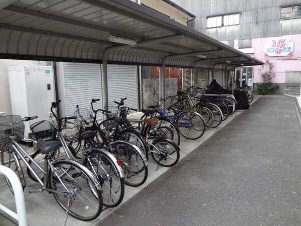  シェリールエヴァン