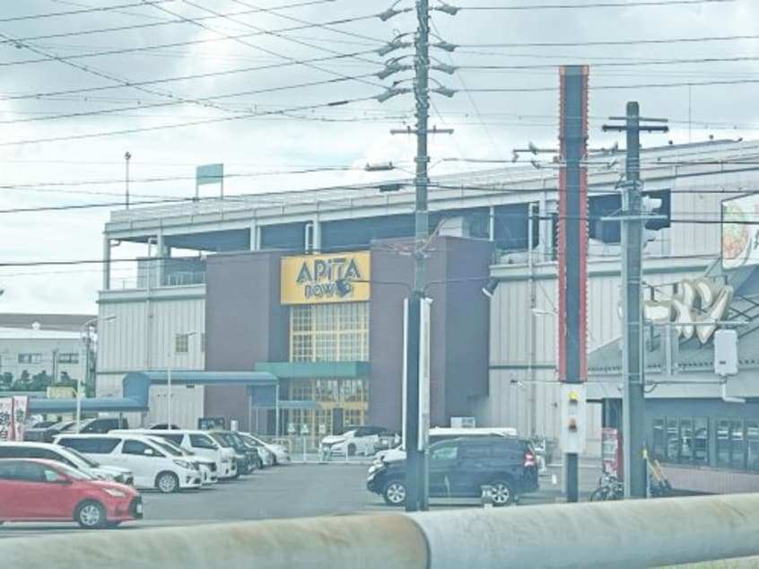 アピタパワー大府店(ショッピングセンター/アウトレットモール)まで3543m カーサ吉田