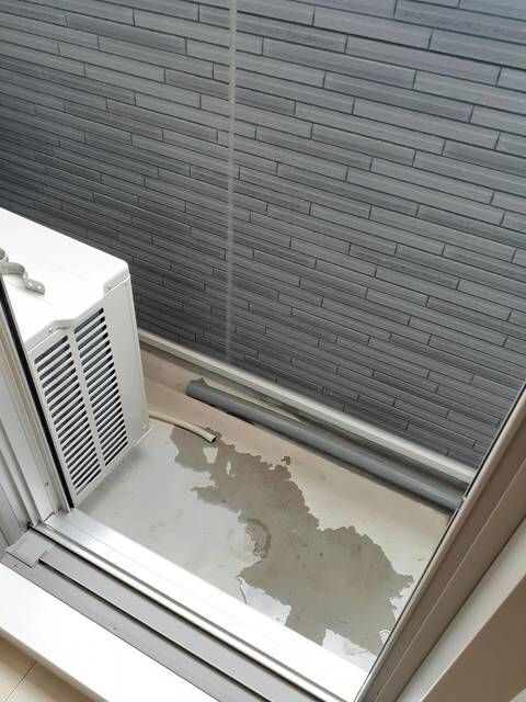  コンウィステリア