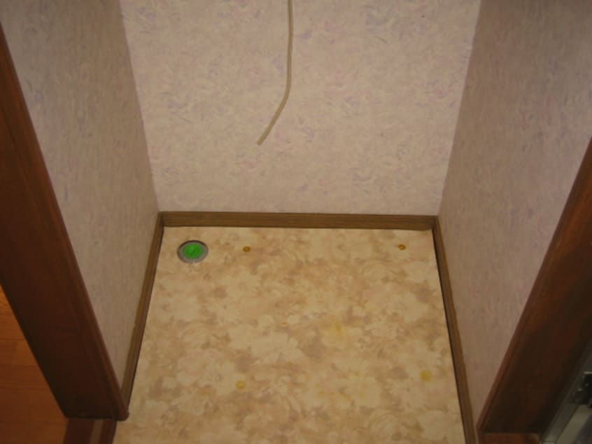  スプリングハイツ