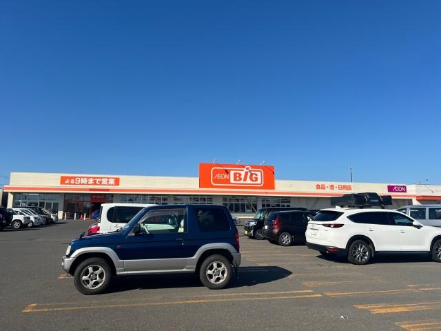 ザ・ビッグ文苑店(ディスカウントショップ)まで756m コーポ菅原