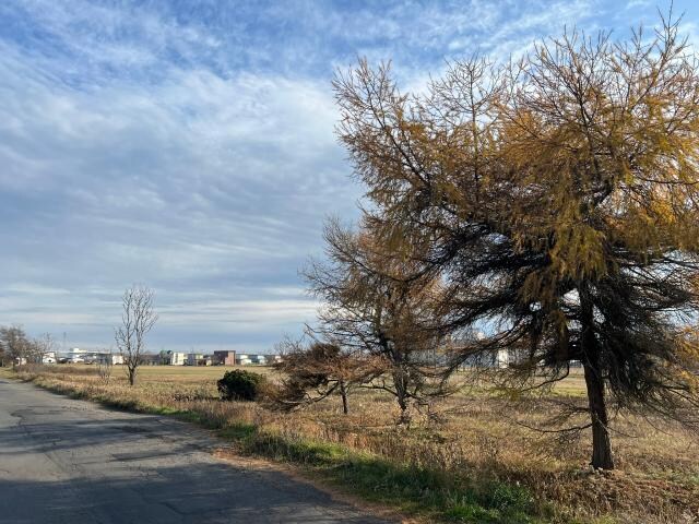 大楽毛2号公園(公園)まで563m 白百合マンション２号棟