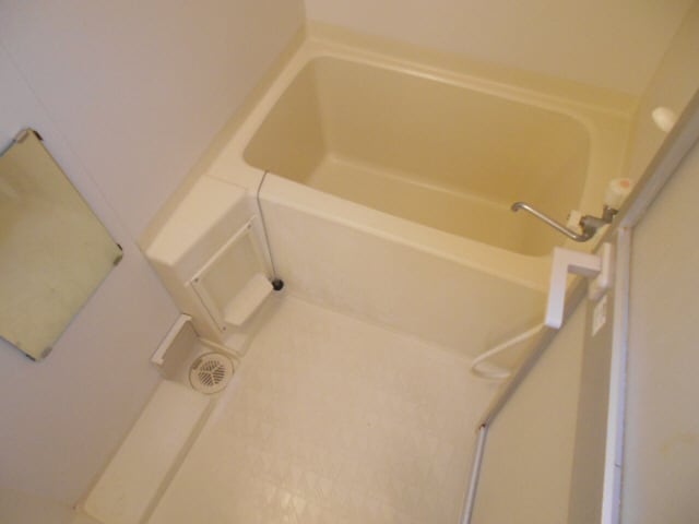  フェニックス鳥取