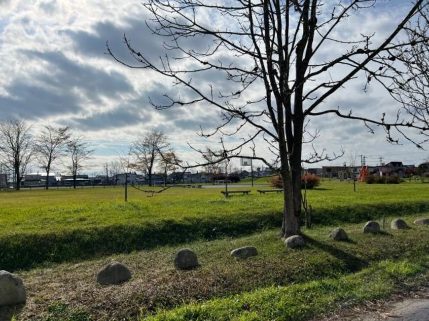 星が浦中央公園(公園)まで974m コーポ司