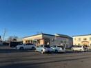 セブンイレブン釧路光陽町店(コンビニ)まで734m ケイズステーブル