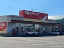 ツルハドラッグ釧路昭和店(ドラッグストア)まで848m フラワーマンションⅥ