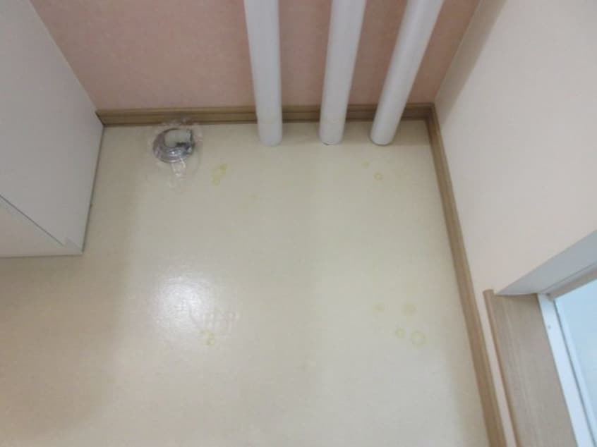  EstansiaⅡ（エスタンシアツー）