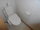  グリーンフィールド