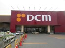 DCM札内店(電気量販店/ホームセンター)まで825m ルピナスⅢ