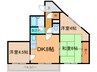 セントラル5 2DKの間取り
