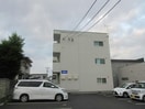  Ｓａｒａｒａ