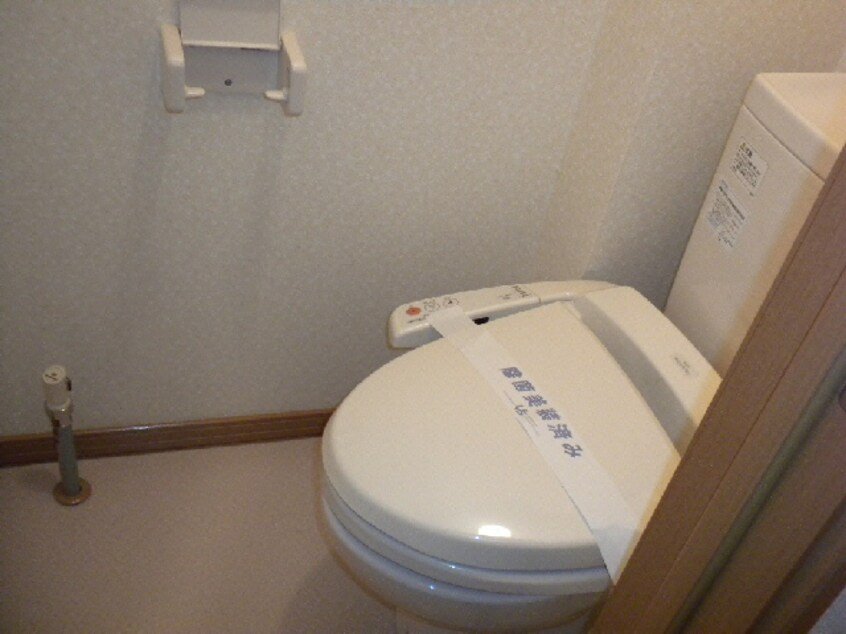  LEMUREⅡ