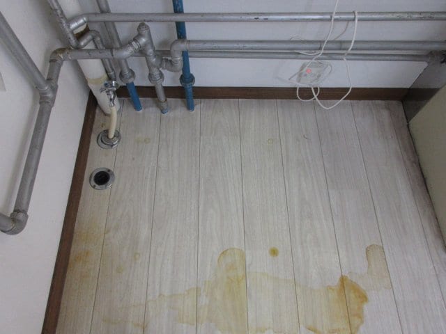  チャーミーハイツ