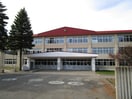 緑丘小学校(小学校)まで1257m ラパーチェ813