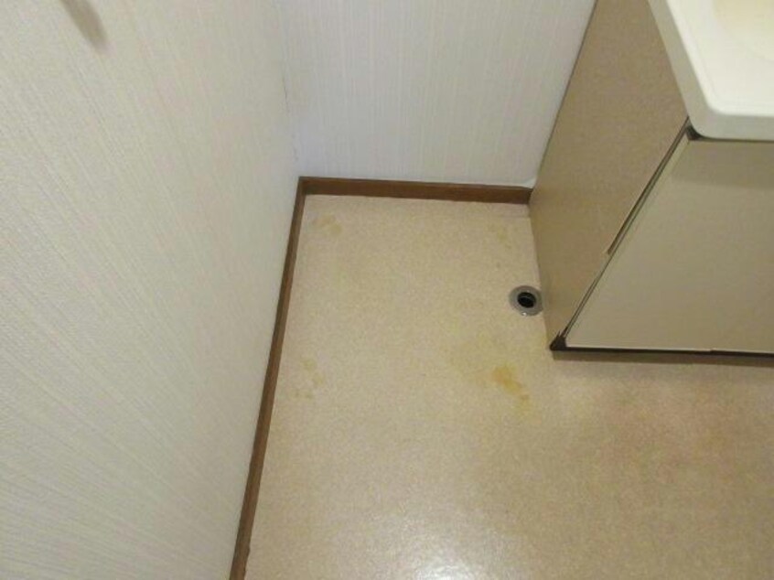  QUATTRO(クワトロ）