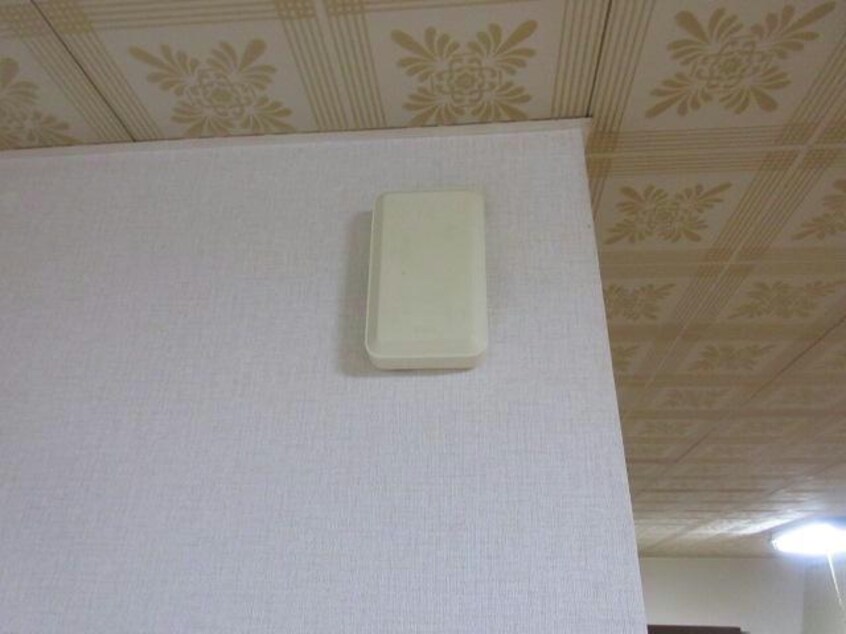  QUATTRO(クワトロ）