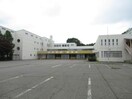 芽室町立芽室小学校(小学校)まで596m ドルフ①