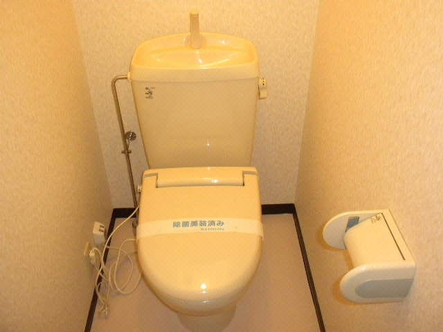 パリエドレーヴ