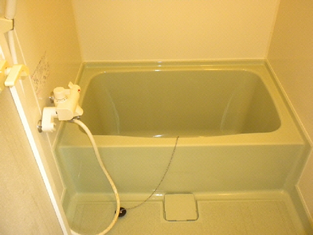  Ｆｕｊｉ（フジ）