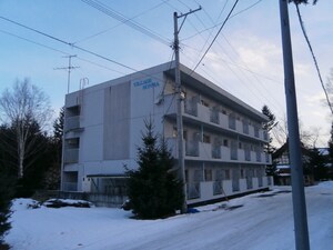 ｳﾞｨﾗｰｼﾞｭﾎﾝﾏ