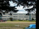 清水町立清水中学校(中学校/中等教育学校)まで2603m Piara