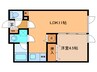 ラペル241B 1LDKの間取り