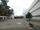 芽室町立芽室中学校(中学校/中等教育学校)まで1180m ハイツポプラ