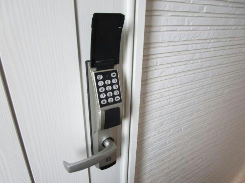  Regulus（レグルス）