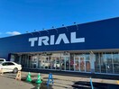 スーパーセンタートライアル益浦店(ディスカウントショップ)まで1571m 桜ヶ岡6-2-20貸家