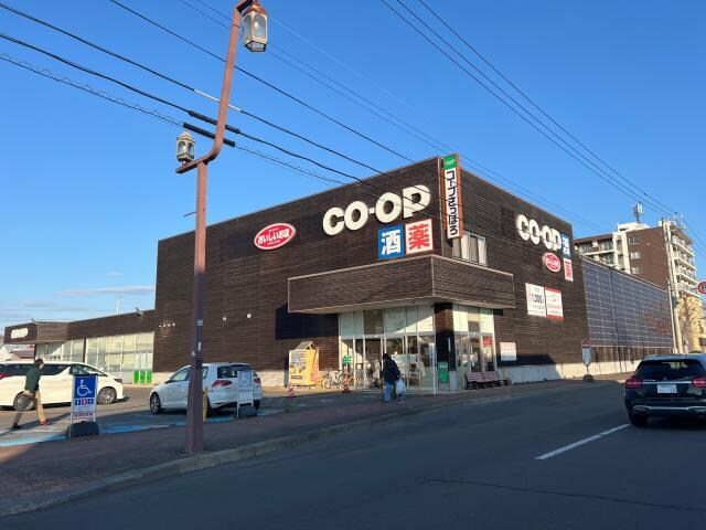 コープさっぽろ新橋大通店(スーパー)まで320m HornⅢ（ホルン3）