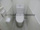  グレイス・レクシア